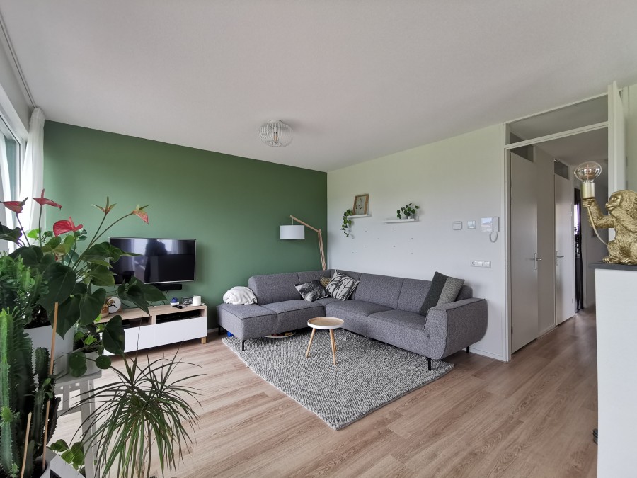 korianderstraat 01