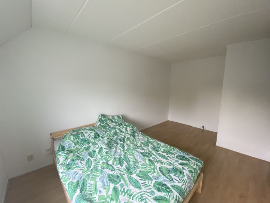korianderstraat 01