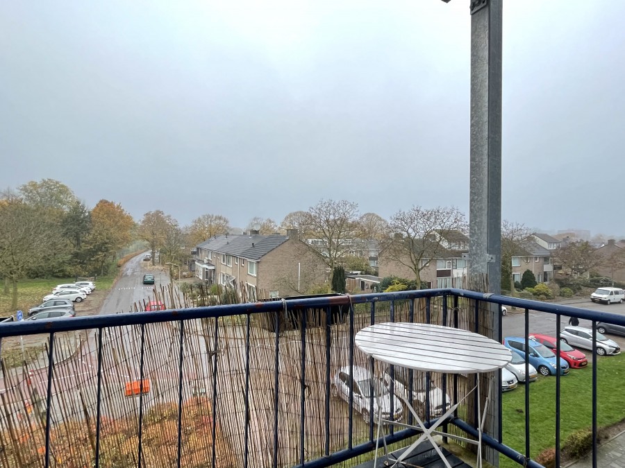 korianderstraat 01