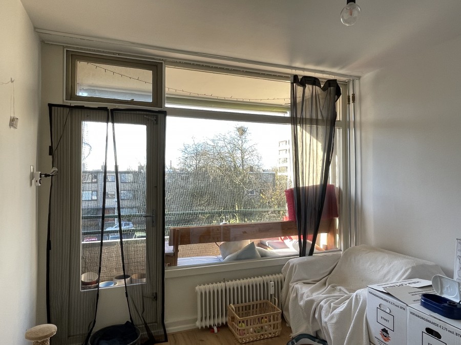 korianderstraat 01
